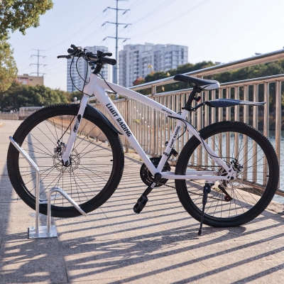 CITY-Fahrradständer VARIO, 1 Einstellplatz, B 450 x T 440 x H 540 mm, einseitiges Einstellen, feuerverzinkt